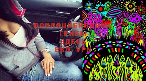 гидра Бронницы