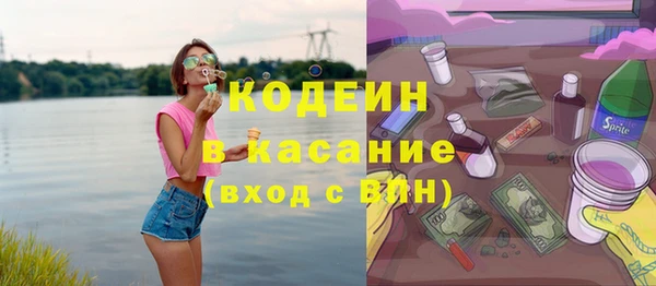 индика Бугульма