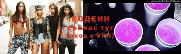 индика Бугульма