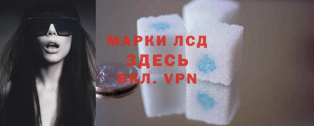 прущие крисы Верхний Тагил